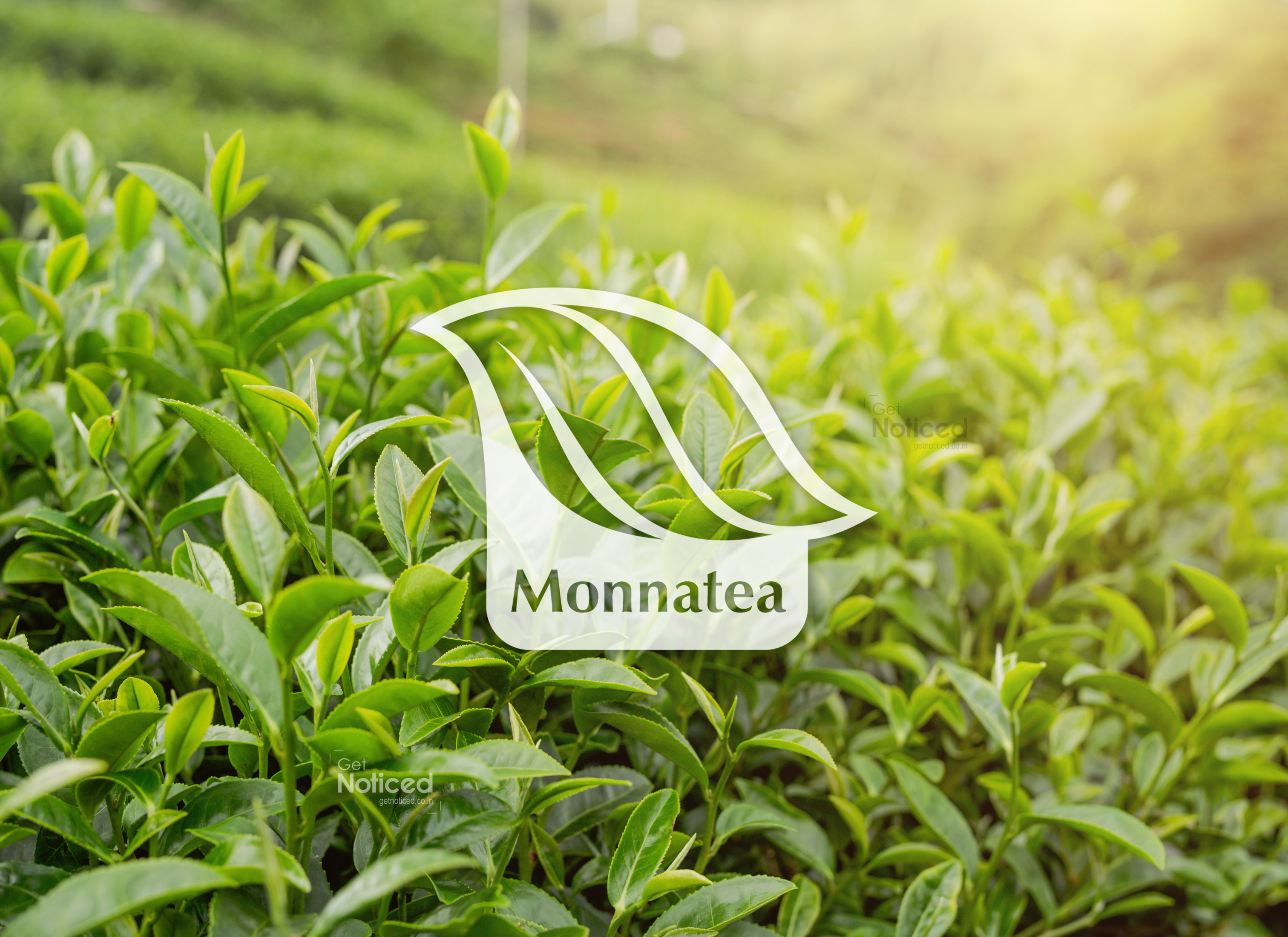 Monnatea Logo Design