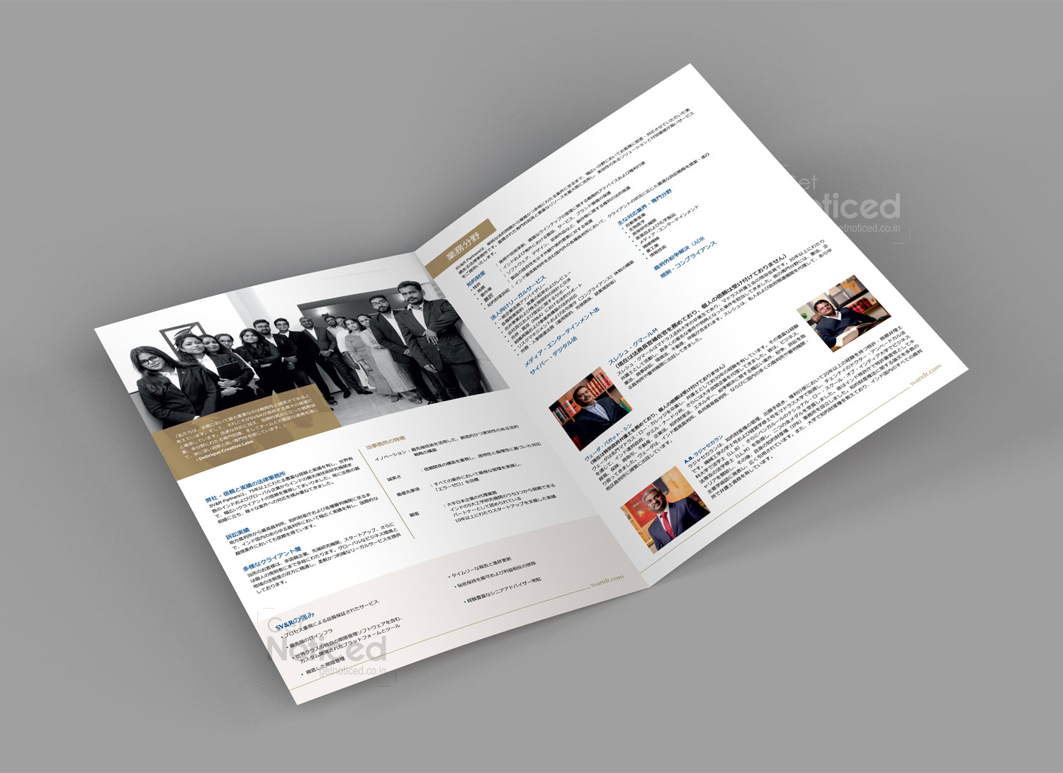 Professional 4-page company profile brochure highlighting SV&R Partners legal expertise