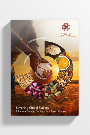 D&D Exporters and Importers corporate profile brochure design