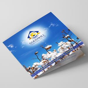 Goodwill Brochure Design